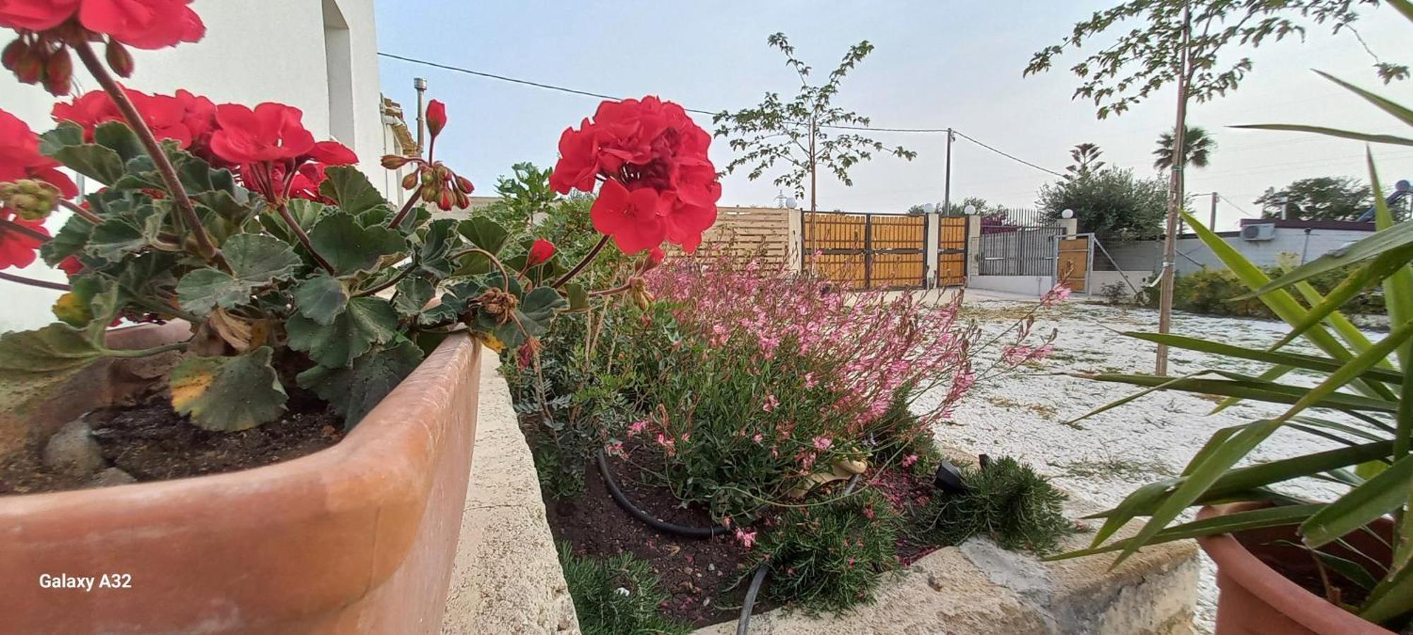 Almademari Giglio Casa Vacanza Pachino Bilik gambar