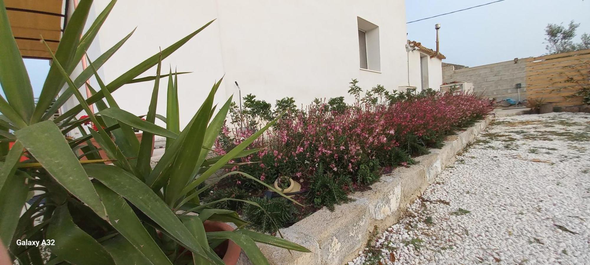 Almademari Giglio Casa Vacanza Pachino Bilik gambar